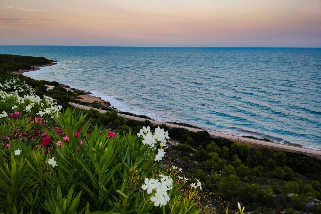 Apartamento Recien Reformado En Primera Linea Con Vistas A La Playa De La Almadraba Benicassim Luaran gambar